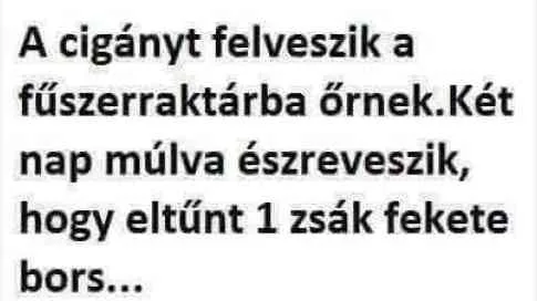 Vicc: A cigányt felveszik a fűszerraktárba őrnek. Vicc: A cigányt felveszik a fűszerraktárba őrnek.