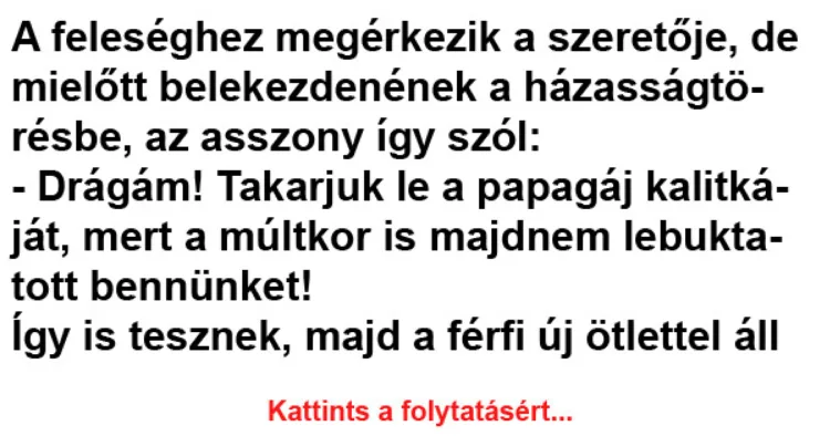 Vicc: A feleséghez megérkezik a szeretője, de mielőtt belekezdenének -... Vicc: A feleséghez megérkezik a szeretője, de mielőtt belekezdenének -…