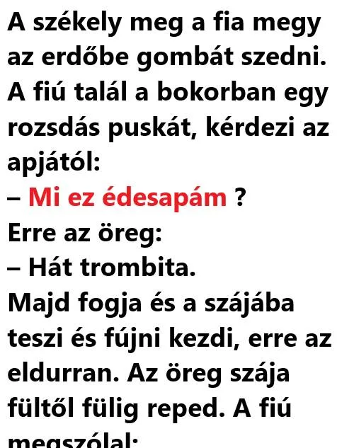 Vicc: A székely meg a fia megy az erdőbe gombát Vicc: A székely meg a fia megy az erdőbe gombát szedni