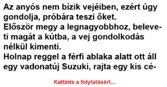 Vicc: Az anyós nem bízik vejéiben, ezért úgy gondolja, próbára teszi őket -…