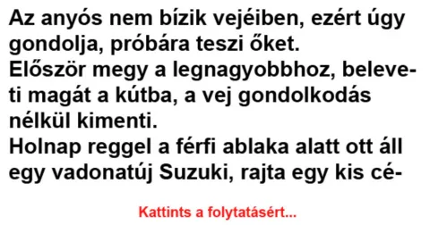 Vicc: Az anyós nem bízik vejéiben, ezért úgy gondolja, próbára Vicc: Az anyós nem bízik vejéiben, ezért úgy gondolja, próbára teszi őket -…