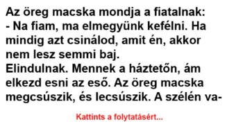 Vicc: Az öreg macska mondja a fiatalnak - Vicc: Az öreg macska mondja a fiatalnak –