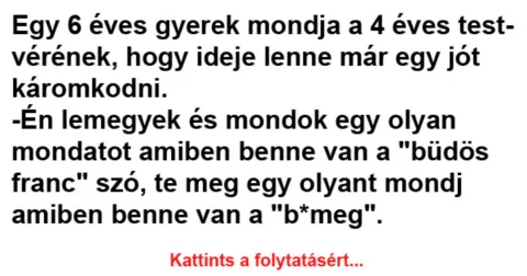 Vicc: Egy 6 éves gyerek mondja a 4 éves testvérének –