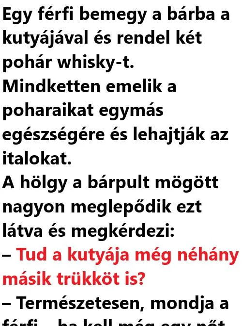Vicc: Egy férfi bemegy a bárba a kutyájával és rendel Vicc: Egy férfi bemegy a bárba a kutyájával és rendel két pohár…
