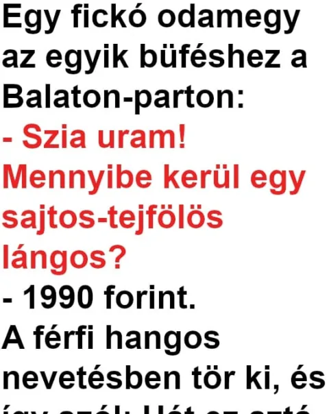 Vicc: Egy fickó lángost akart enni a Balatonon Vicc: Egy fickó lángost akart enni a Balatonon