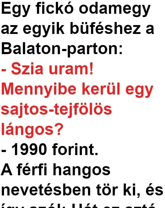 Vicc: Egy fickó lángost akart enni a Balatonon Vicc: Egy fickó lángost akart enni a Balatonon