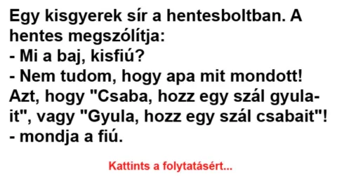 Vicc: Egy kisgyerek sír a hentesboltban –