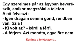 Vicc: Egy szerelmes pár az ágyban heverészik - Vicc: Egy szerelmes pár az ágyban heverészik –