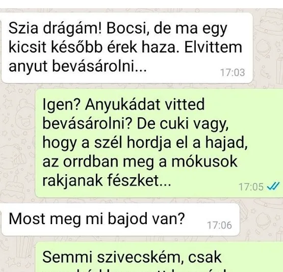 Vicc: Elvittem anyut bevásárolni Vicc: Elvittem anyut bevásárolni