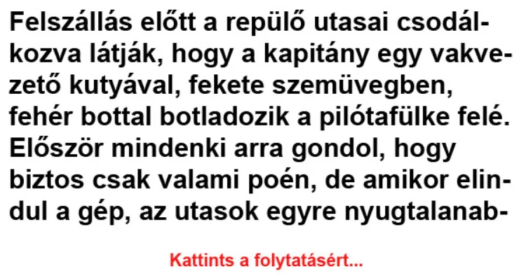 Vicc: Felszállás előtt a repülő utasai csodálkozva látják, hogy a Vicc: Felszállás előtt a repülő utasai csodálkozva látják, hogy a kapitány…