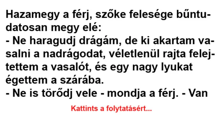 Vicc: Hazamegy a férj, szőke felesége bűntudatosan megy elé - Vicc: Hazamegy a férj, szőke felesége bűntudatosan megy elé –