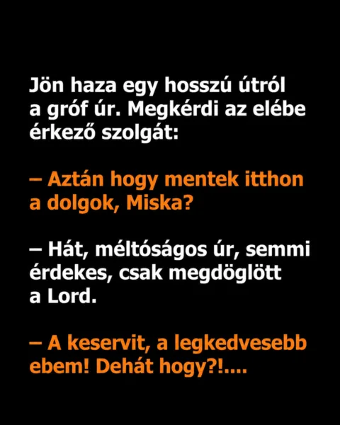 Vicc: Jön haza egy hosszú útról a gróf úr Vicc: Jön haza egy hosszú útról a gróf úr