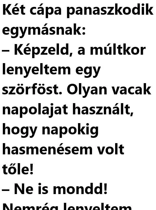 Vicc: Két cápa panaszkodik egymásnak Vicc: Két cápa panaszkodik egymásnak