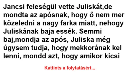 Vicc: Semmi baj, mondja az após, Juliska még úgysem tudja, Vicc: Semmi baj, mondja az após, Juliska még úgysem tudja, hogy mekkorának…