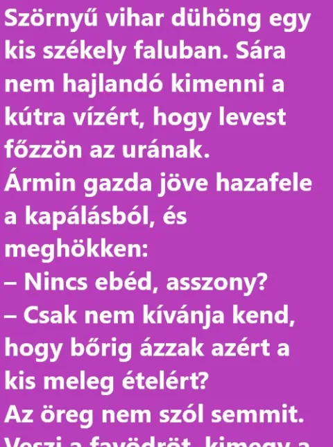 Vicc: Szörnyű vihar dühöng egy kis székely faluban