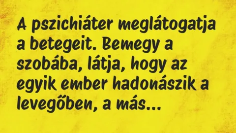 A pszichiáter meglátogatja a betegeit. Bemegy a szobába, látja, hogy a… – Vicc A pszichiáter meglátogatja a betegeit. Bemegy a szobába, látja, hogy a… – Vicc