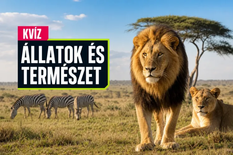 Afrikai állatok kvíz: össze tudod párosítani az állatokat a jellemzőikkel 10/10-ért? Afrikai állatok kvíz: össze tudod párosítani az állatokat a jellemzőikkel 10/10-ért?