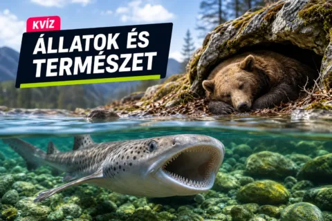 Állat- és növényvilág kvíz: össze tudod párosítani a fajokat a furcsa tulajdonságukkal?