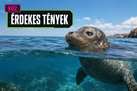 Állatok különleges képességei kvíz: tudod, melyik lát bőrrel és melyik alszik a levegőben?