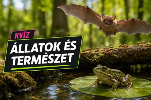 Állatvilág kvíz: meglesz 7 jó válasz abból, melyik állatra mi jellemző?