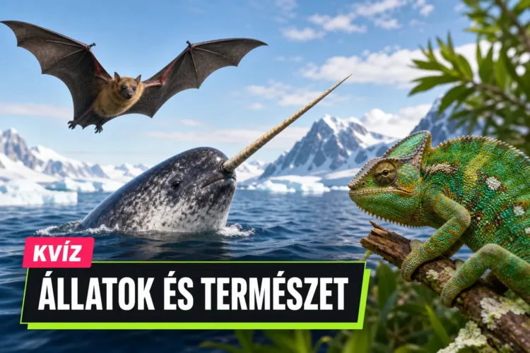Állatvilág kvíz: össze tudod párosítani a meglepő tényeket a megfelelő állatokkal? Állatvilág kvíz: össze tudod párosítani a meglepő tényeket a megfelelő állatokkal?