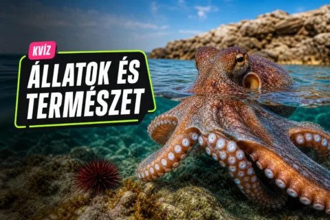 Állatvilág kvíz: össze tudod párosítani az állatokat a meghökkentő tulajdonságaikkal?