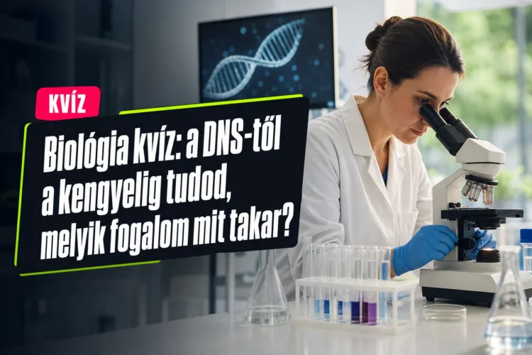 Biológia kvíz: a DNS-től a kengyelig tudod, melyik fogalom mit takar? Biológia kvíz: a DNS-től a kengyelig tudod, melyik fogalom mit takar?