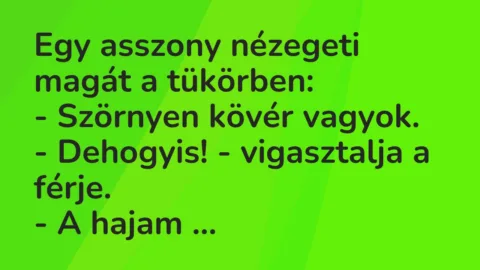Egy asszony nézegeti magát a tükörben:
– Szörnyen kövér… – Vicc Egy asszony nézegeti magát a tükörben:
– Szörnyen kövér… – Vicc