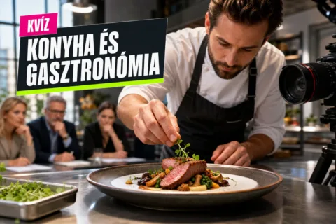 Főzőműsorok kvíz: a textúrakontraszttól a fermentálásig érted a séfek és a zsűri nyelvét?