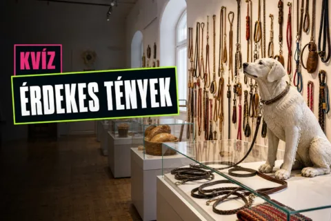 Furcsa múzeumok kvíz: meglesz a 7/10, ha országokhoz és városokhoz tudod párosítani őket?