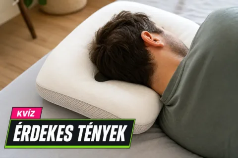 Furcsa találmányok kvíz: meg tudod mondani, mi igaz a lyukas párnától a pet rockig?