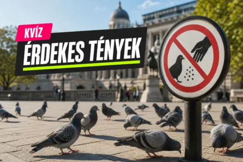 Furcsa törvények kvíz: tudod, hol volt tilos zsebben fagyit hordani és galambot etetni?