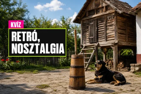 Gyerekkori falusi udvar kvíz: csak a legjobbak tudják, mi micsoda a górétól a köpülőig