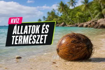 Gyümölcsös érdekességek kvíz: össze tudod párosítani a gyümölcsöket a meglepő tényekkel? Gyümölcsös érdekességek kvíz: össze tudod párosítani a gyümölcsöket a meglepő tényekkel?