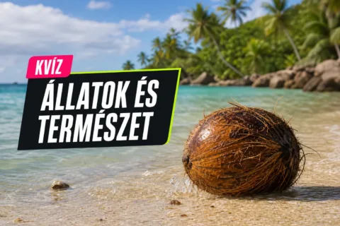 Gyümölcsös érdekességek kvíz: össze tudod párosítani a gyümölcsöket a meglepő tényekkel?