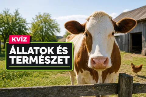 Háztáji állatok kvíz: egy bőgésből vagy kékes tojásból rájössz, melyik állatról van szó?