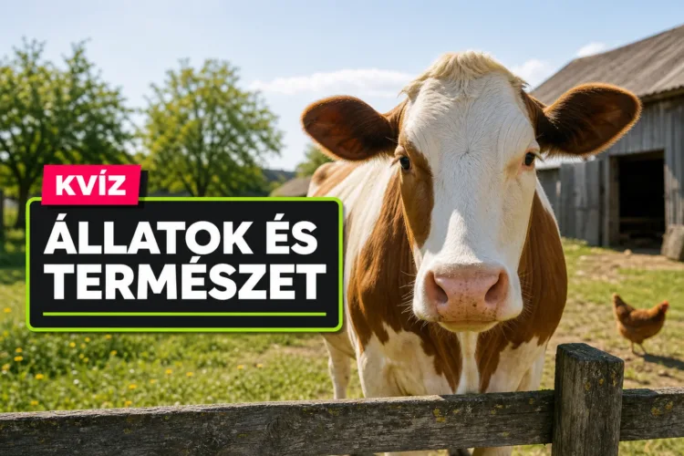 Háztáji állatok kvíz: egy bőgésből vagy kékes tojásból rájössz, melyik állatról van szó? Háztáji állatok kvíz: egy bőgésből vagy kékes tojásból rájössz, melyik állatról van szó?