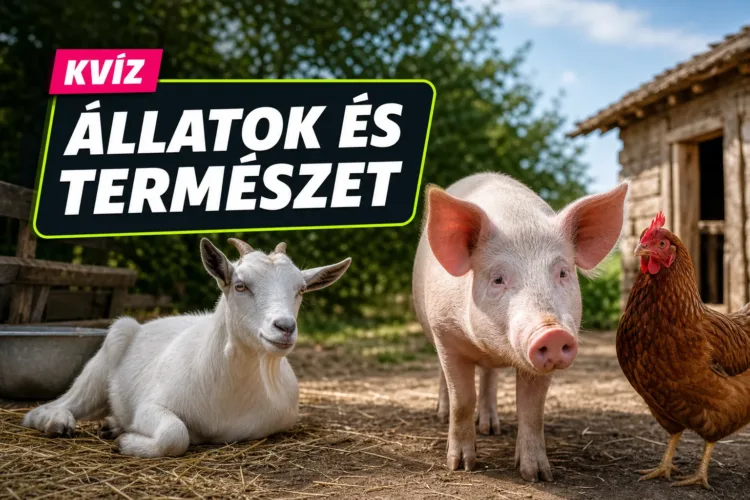 Háztáji állatok kvíz: meglesz 5 jó válasz, ha felismered, melyik állatra mi jellemző? Háztáji állatok kvíz: meglesz 5 jó válasz, ha felismered, melyik állatra mi jellemző?