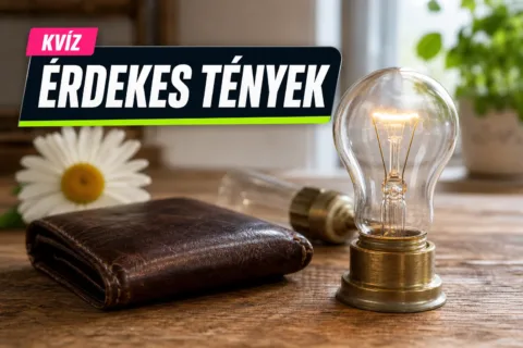 Hétköznapi tárgyak kvíz: meglesz 9 jó válasz arról, miért pont így hívjuk őket?