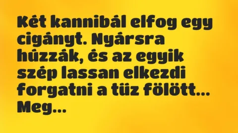 Két kannibál elfog egy cigányt. Nyársra húzzák, és az egyik szép… – Vicc Két kannibál elfog egy cigányt. Nyársra húzzák, és az egyik szép… – Vicc