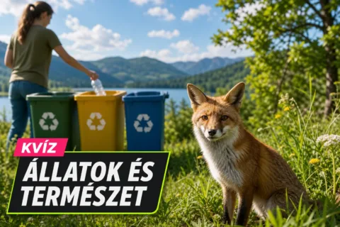 Környezetvédelem kvíz: az újrahasznosítástól a klímaváltozásig meglesz a 9/10?