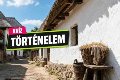 Középkori mindennapok kvíz: rájössz, mire kellett a mész, a széna és az ecetes rongy?