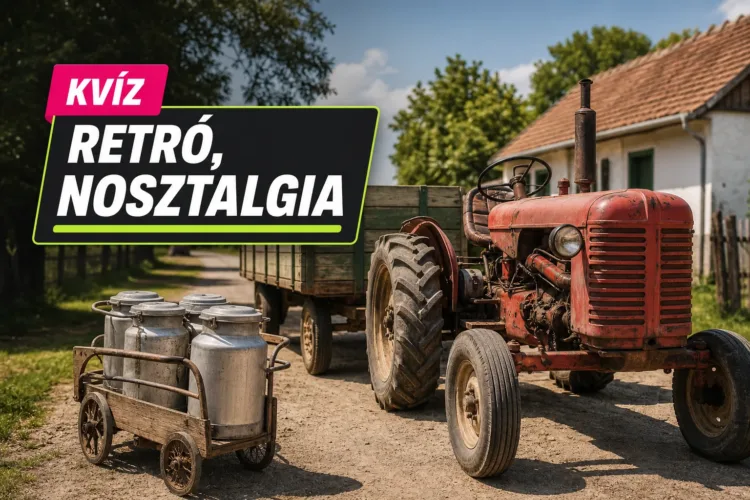 Kvíz: 60-as évek falusi élete – csak a legjobbak tudják, mi számított akkor mindennapinak Kvíz: 60-as évek falusi élete – csak a legjobbak tudják, mi számított akkor mindennapinak