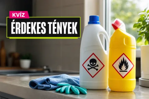 Kvíz: a hypótól a piktogramokig tudod, mi számít veszélyes hibának?