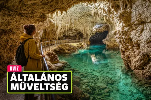 Kvíz: a kakaótól a Guernicáig hol ér véget a biztos tudásod?