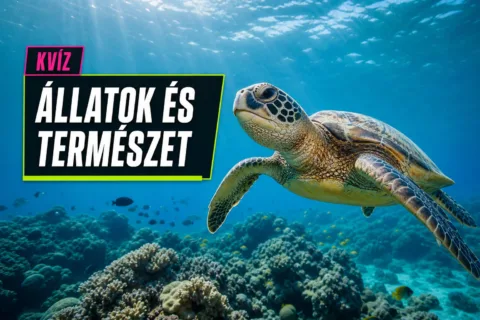 Kvíz: a természet extrém rekordjai – csak a legjobbak találják el a rekordtartókat