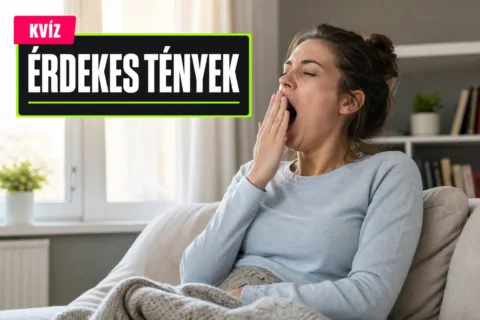 Kvíz: a tested automatikus működése – tudod, miért ásítasz, izzadsz vagy csuklasz?