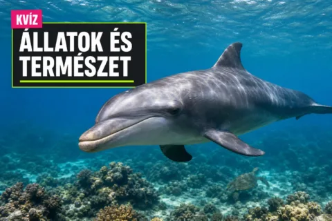 Kvíz: állati alkalmazkodás – lefagyó békától fél aggyal alvó delfinig meglesz az 5/10?