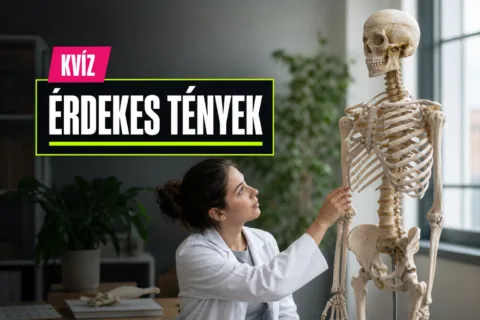 Kvíz: az emberi test furcsa, de valós képességeiről el tudod dönteni, mi igaz?