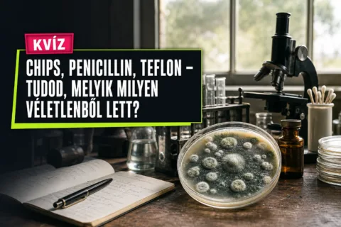 Kvíz: chips, penicillin, teflon – tudod, melyik milyen véletlenből lett?
